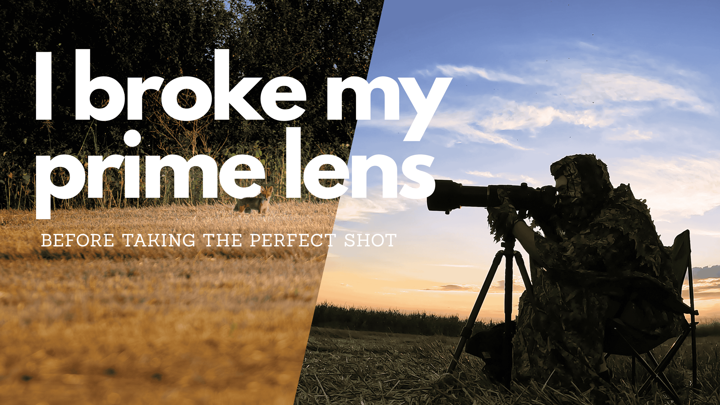 I Broke My Prime Lens Photographing Foxes