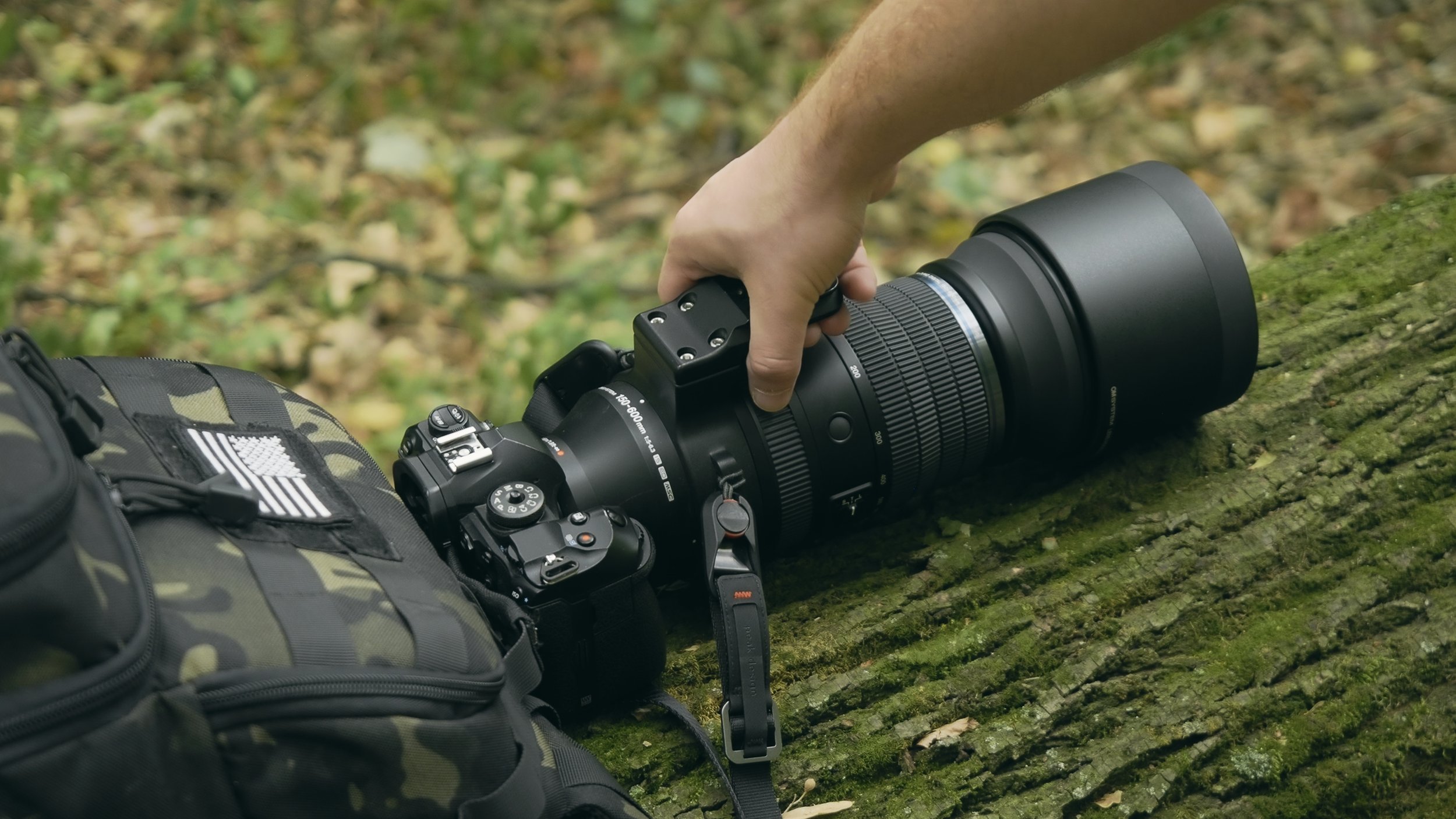 The OM System 150-600mm: A Dream Lens?